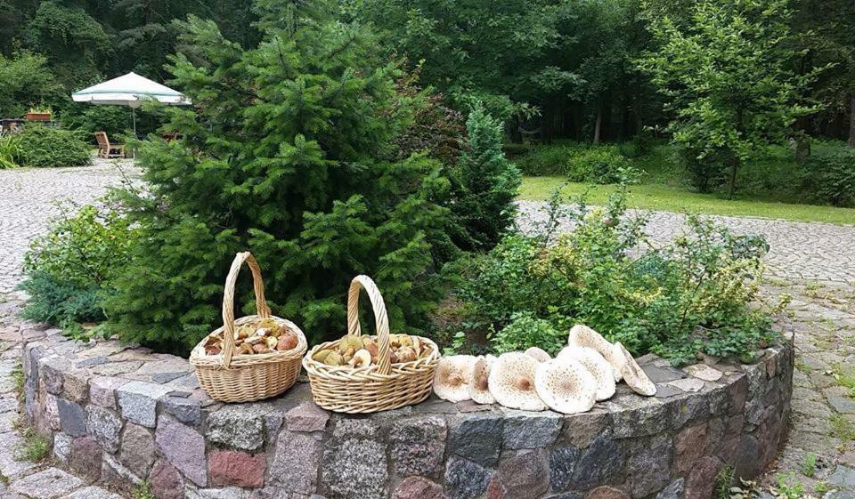 Agroturystyka Przysiółek Trzonki Apartamento Pisz Exterior foto