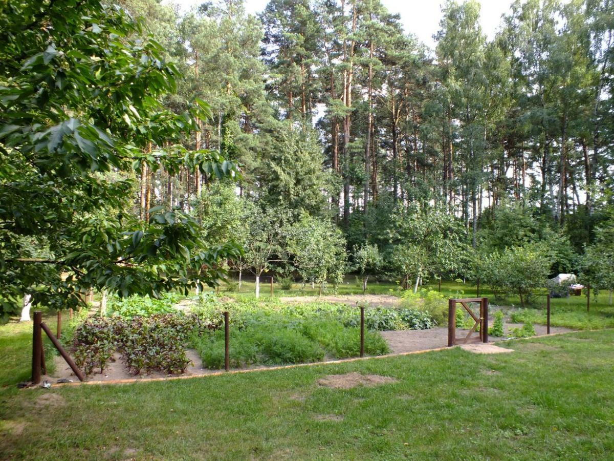 Agroturystyka Przysiółek Trzonki Apartamento Pisz Exterior foto